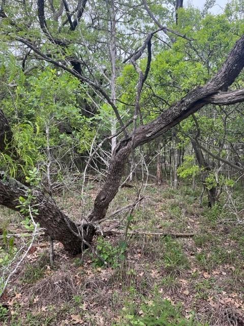 148 Helemano, 6096833, Bastrop, Lot,  for sale, Jessica Dodge, Full Circle Real Estate