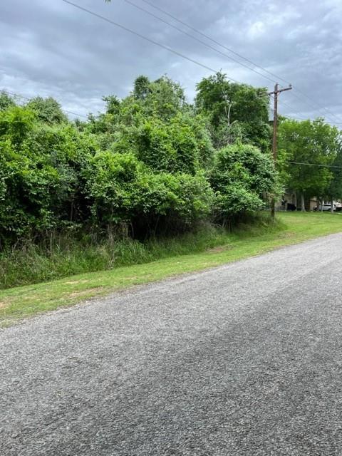 Lot 1099 Moku Manu, 2008395, Bastrop, Lot,  for sale, Jessica Dodge, Full Circle Real Estate