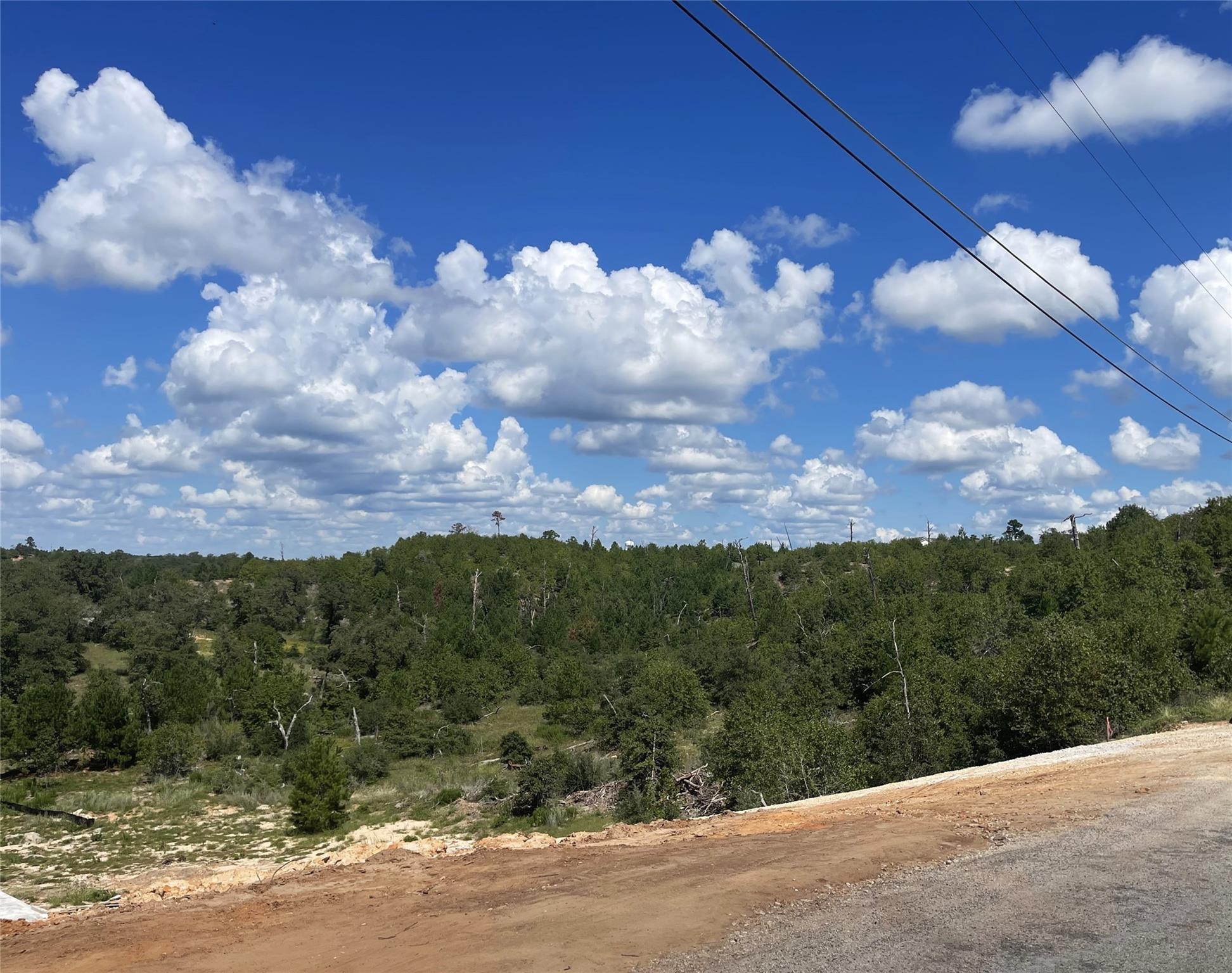 Lot 12 River Forest, 9669570, Bastrop, Lot,  for sale, Jessica Dodge, Full Circle Real Estate