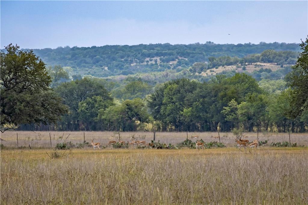 Lot 48 Cattle, 2348264, Kempner, Lot,  for sale, Jessica Dodge, Full Circle Real Estate