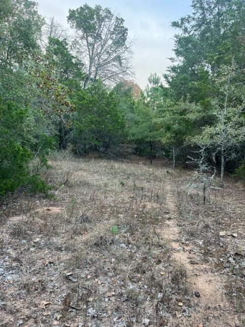 171 Lamaloa, 7593523, Bastrop, Lot,  for sale, Jessica Dodge, Full Circle Real Estate