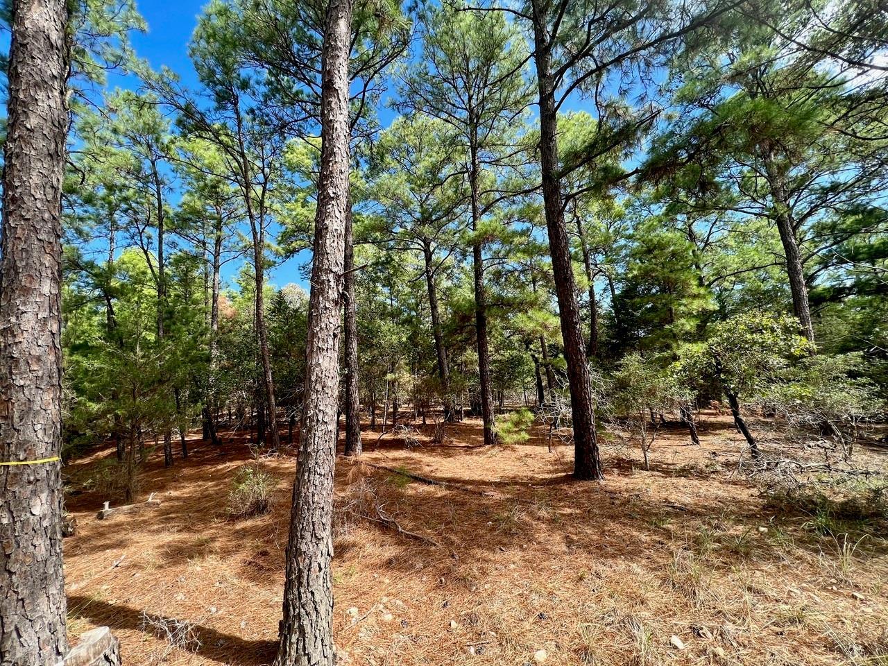 TBD Crazy Horse, 3874313, La Grange, Lot,  for sale, Jessica Dodge, Full Circle Real Estate