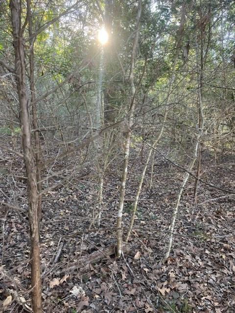 Lot 632 Hilea, 6083097, Bastrop, Lot,  for sale, Jessica Dodge, Full Circle Real Estate