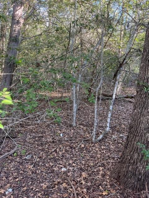 Lot 631 Hilea, 9523394, Bastrop, Lot,  for sale, Jessica Dodge, Full Circle Real Estate