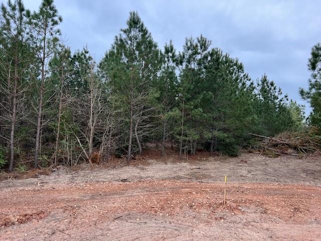 Lot 5 Autumn, 3414621, Bastrop, Lot,  for sale, Jessica Dodge, Full Circle Real Estate