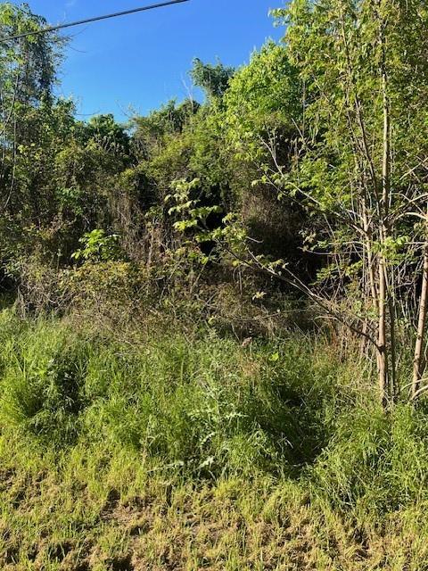 171 Kahana, 6934187, Bastrop, Lot,  for sale, Jessica Dodge, Full Circle Real Estate