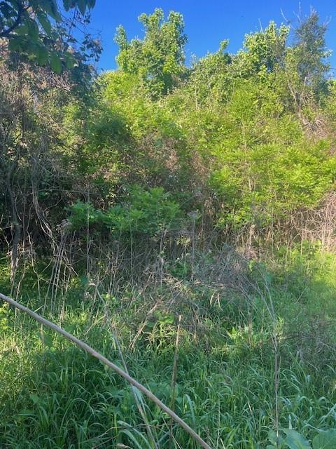 167 Kahana, 6472721, Bastrop, Lot,  for sale, Jessica Dodge, Full Circle Real Estate