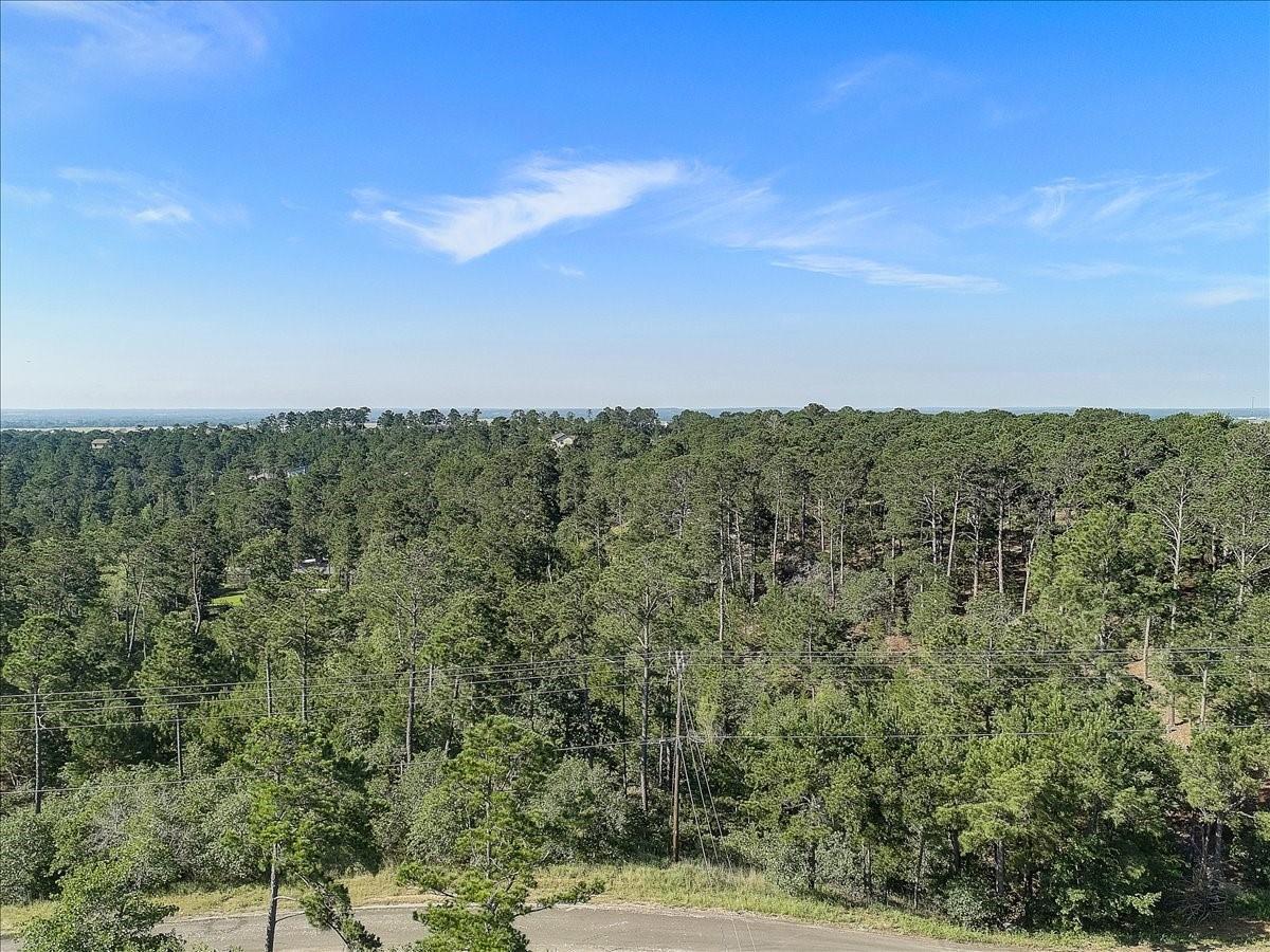 TBD Kaanapali, 7008019, Bastrop, Multiple Lots (Adjacent),  for sale, Jessica Dodge, Full Circle Real Estate