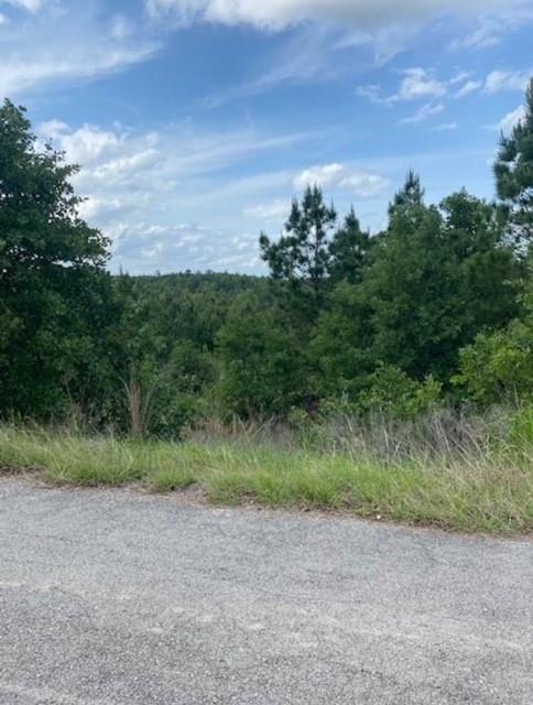 Lot 4 Kainalu, 2256103, Bastrop, Lot,  for sale, Jessica Dodge, Full Circle Real Estate