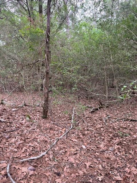 Lot 358 Wainee, 2407213, Bastrop, Lot,  for sale, Jessica Dodge, Full Circle Real Estate