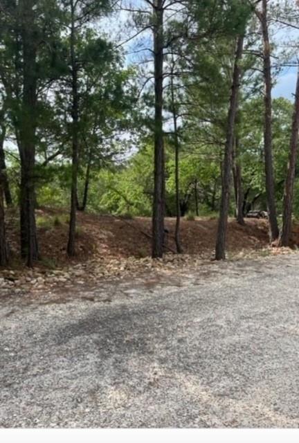 Lot 1114 Kaohikaipu, 5329546, Bastrop, Lot,  for sale, Jessica Dodge, Full Circle Real Estate