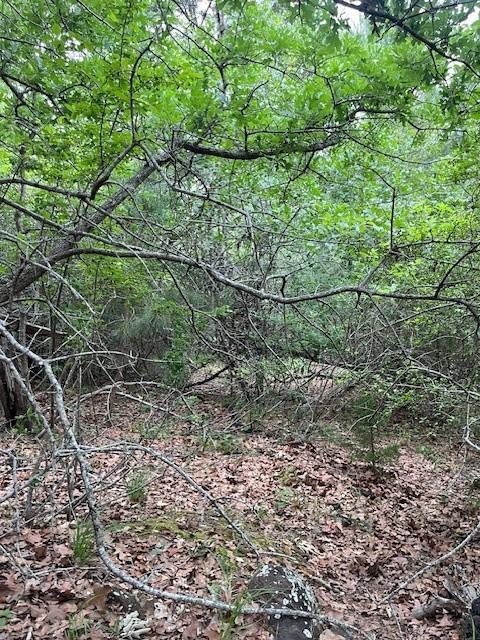 Lot 1603 Ulupau, 2571531, Bastrop, Lot,  for sale, Jessica Dodge, Full Circle Real Estate