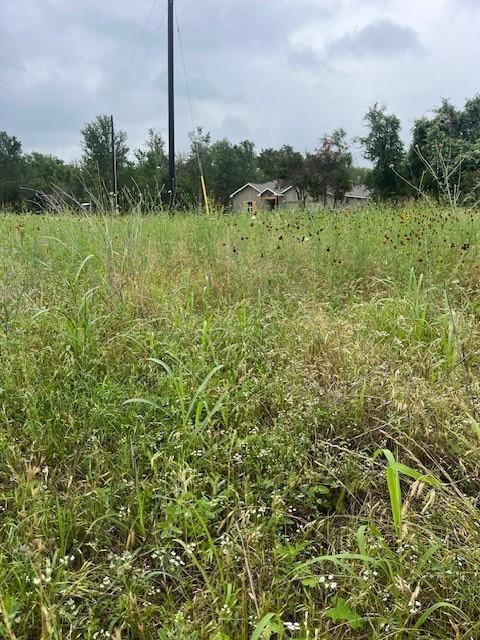 Lot 442 Pauwela, 3207242, Bastrop, Lot,  for sale, Jessica Dodge, Full Circle Real Estate