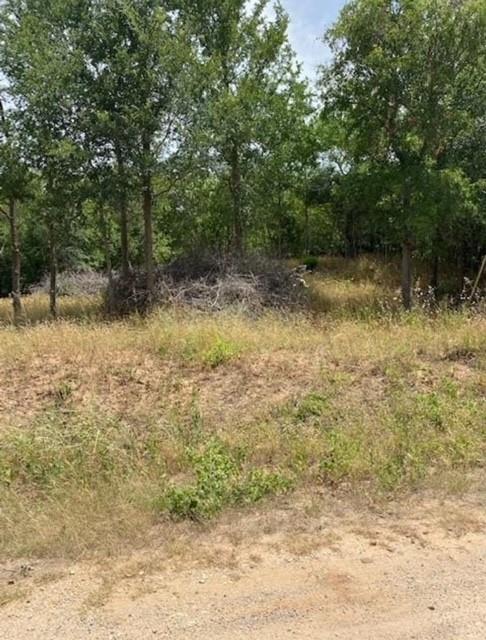 108 Kikipua, 1656667, Bastrop, Lot,  for sale, Jessica Dodge, Full Circle Real Estate