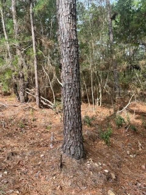 Lot 345 Wainee, 3481112, Bastrop, Lot,  for sale, Jessica Dodge, Full Circle Real Estate