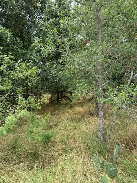 113 Keomuku, 6526451, Bastrop, Lot,  for sale, Jessica Dodge, Full Circle Real Estate