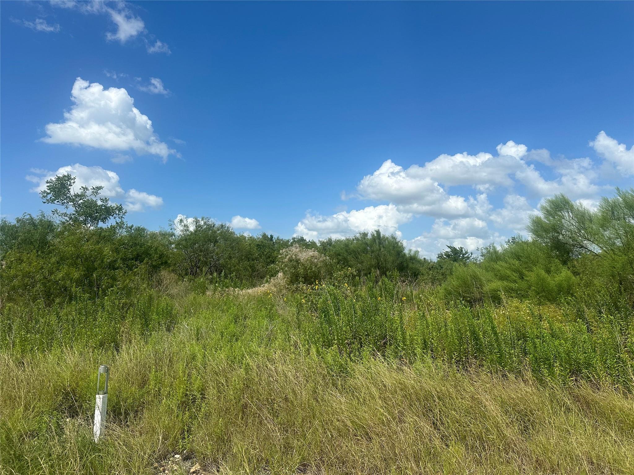 230 Burrobrush, 5482013, Niederwald, Lot,  for sale, Jessica Dodge, Full Circle Real Estate