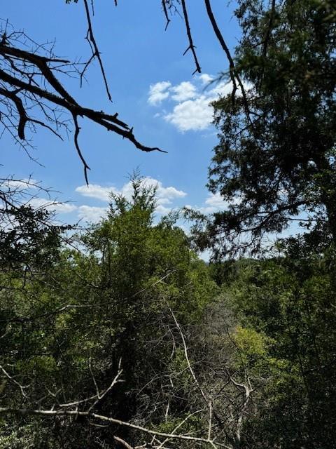 157 Lamaloa, 2251653, Bastrop, Multiple Lots (Adjacent),  for sale, Jessica Dodge, Full Circle Real Estate