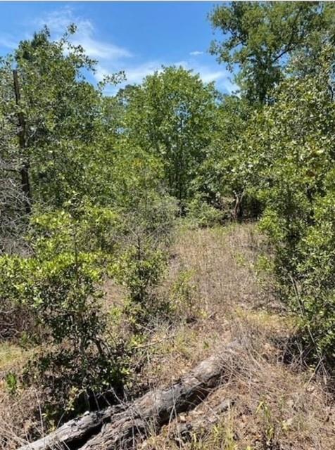 Koali, 8872136, Bastrop, Multiple Lots (Adjacent),  for sale, Jessica Dodge, Full Circle Real Estate