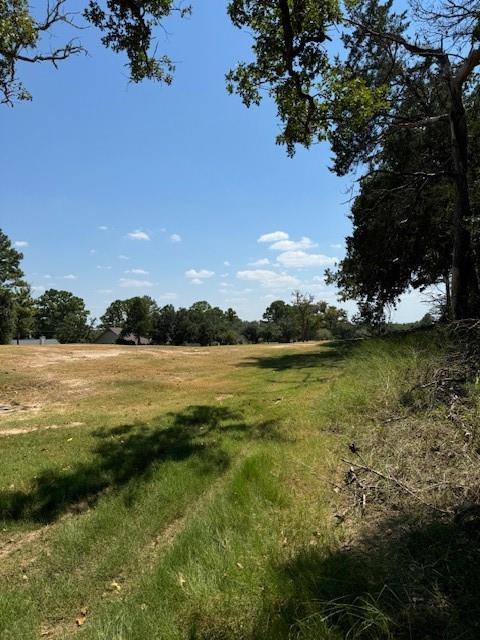 Lot 1280 Kaupo, 9455001, Bastrop, Lot,  for sale, Jessica Dodge, Full Circle Real Estate