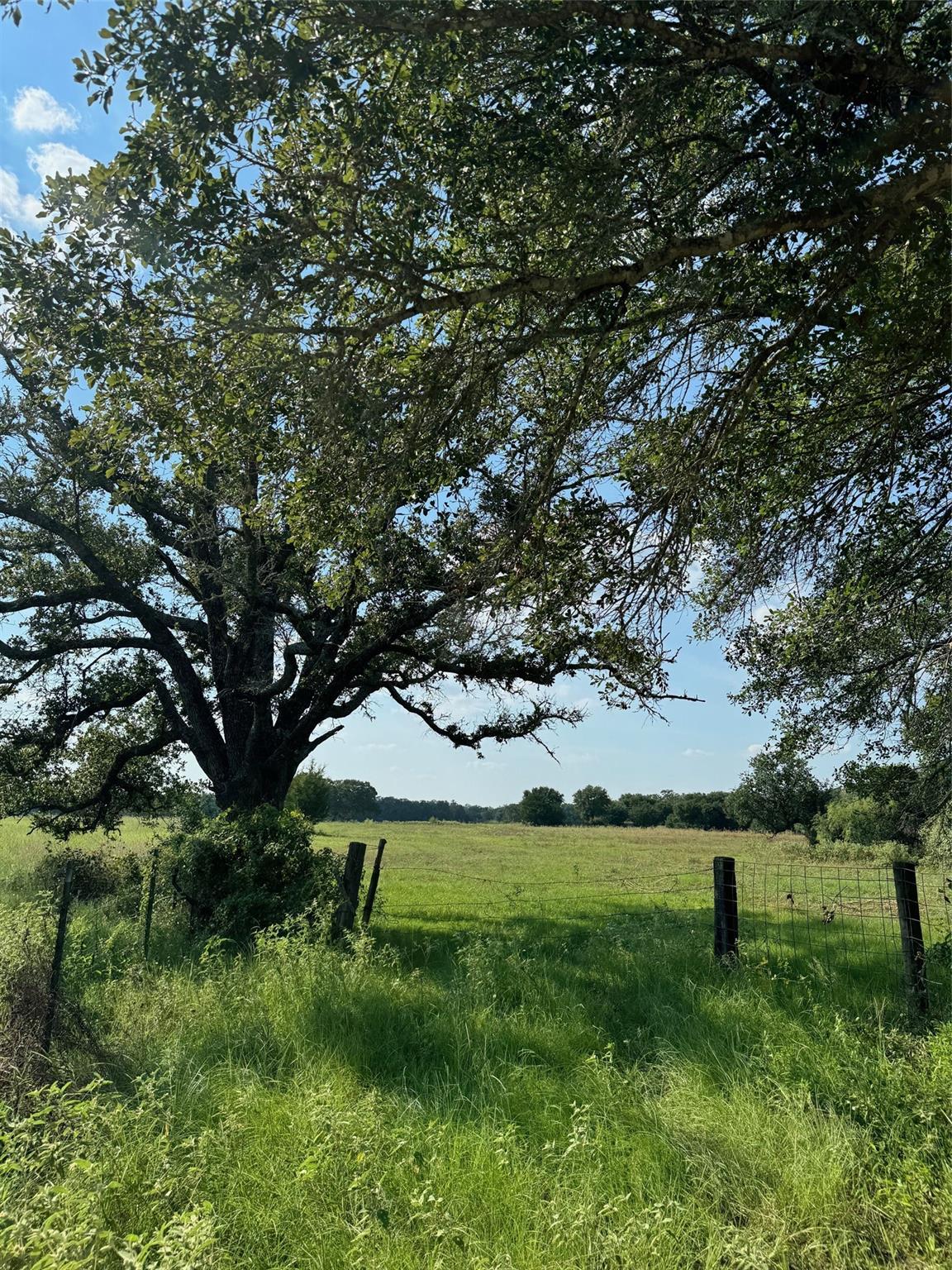 117 County Rd, 6184551, Giddings, Ranch,  for sale, Jessica Dodge, Full Circle Real Estate