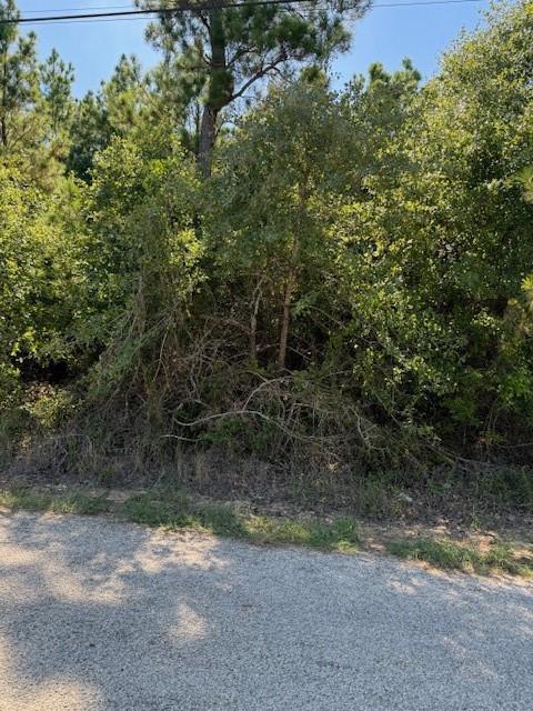 Lot 1355 Kaupo, 8519768, Bastrop, Lot,  for sale, Jessica Dodge, Full Circle Real Estate