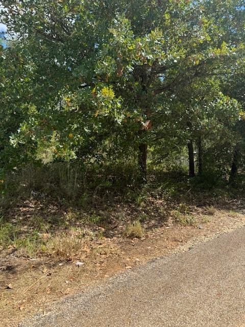 261 Flaming Oak, 4089684, Bastrop, Lot,  for sale, Jessica Dodge, Full Circle Real Estate